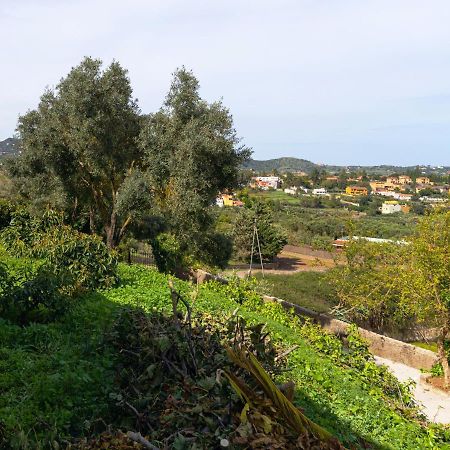 Live Finca El Gamonal Bajo Con Piscina Y Jardin En La Naturaleza Santa Brígida Eksteriør bilde