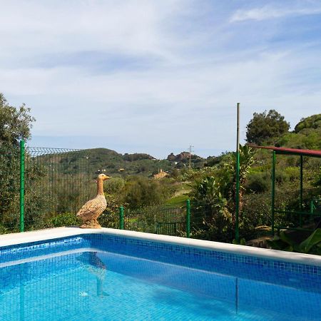 Live Finca El Gamonal Bajo Con Piscina Y Jardin En La Naturaleza Santa Brígida Eksteriør bilde
