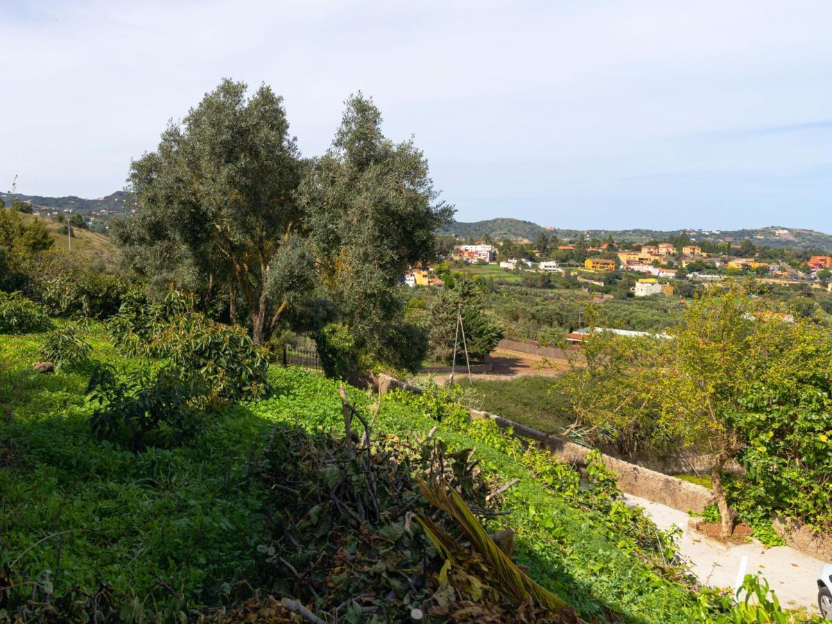 Live Finca El Gamonal Bajo Con Piscina Y Jardin En La Naturaleza Santa Brígida Eksteriør bilde