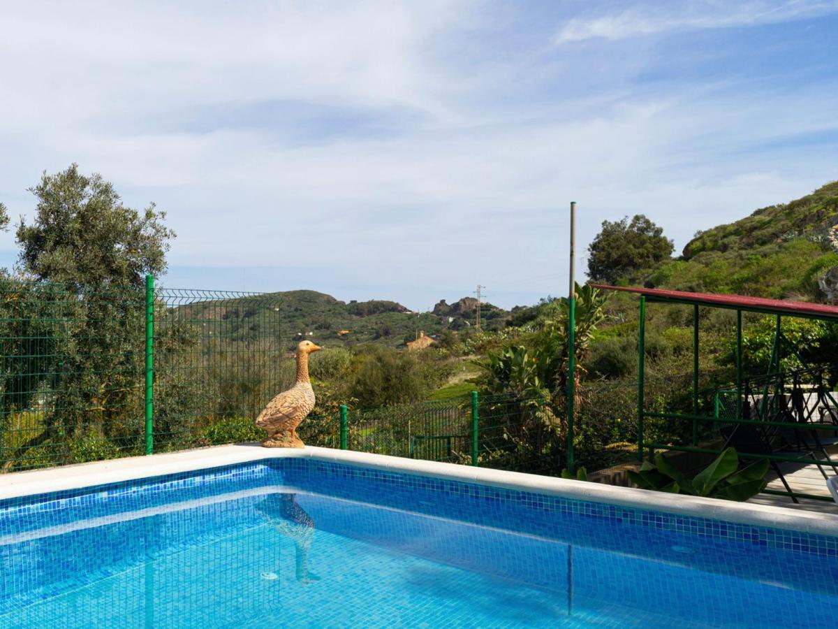 Live Finca El Gamonal Bajo Con Piscina Y Jardin En La Naturaleza Santa Brígida Eksteriør bilde