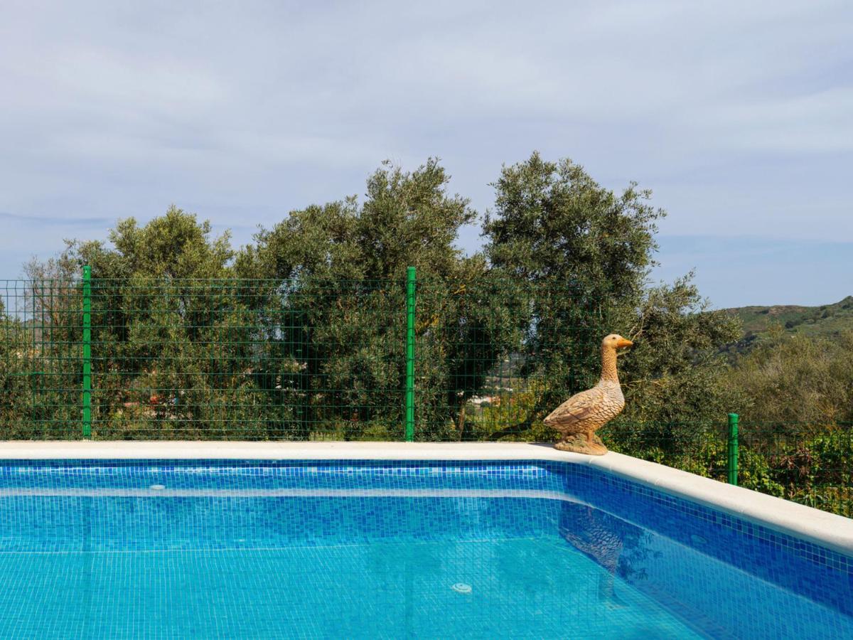 Live Finca El Gamonal Bajo Con Piscina Y Jardin En La Naturaleza Santa Brígida Eksteriør bilde
