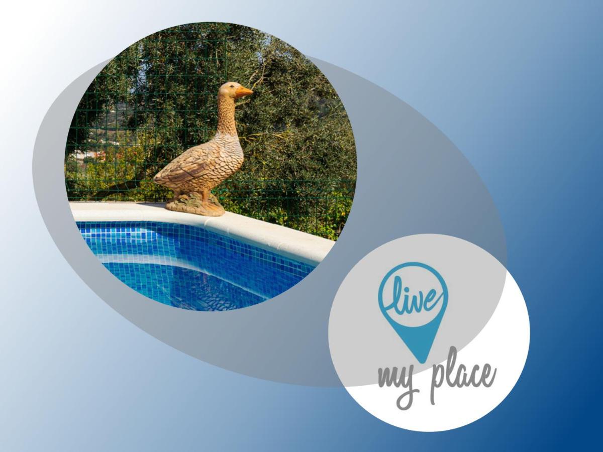 Live Finca El Gamonal Bajo Con Piscina Y Jardin En La Naturaleza Santa Brígida Eksteriør bilde